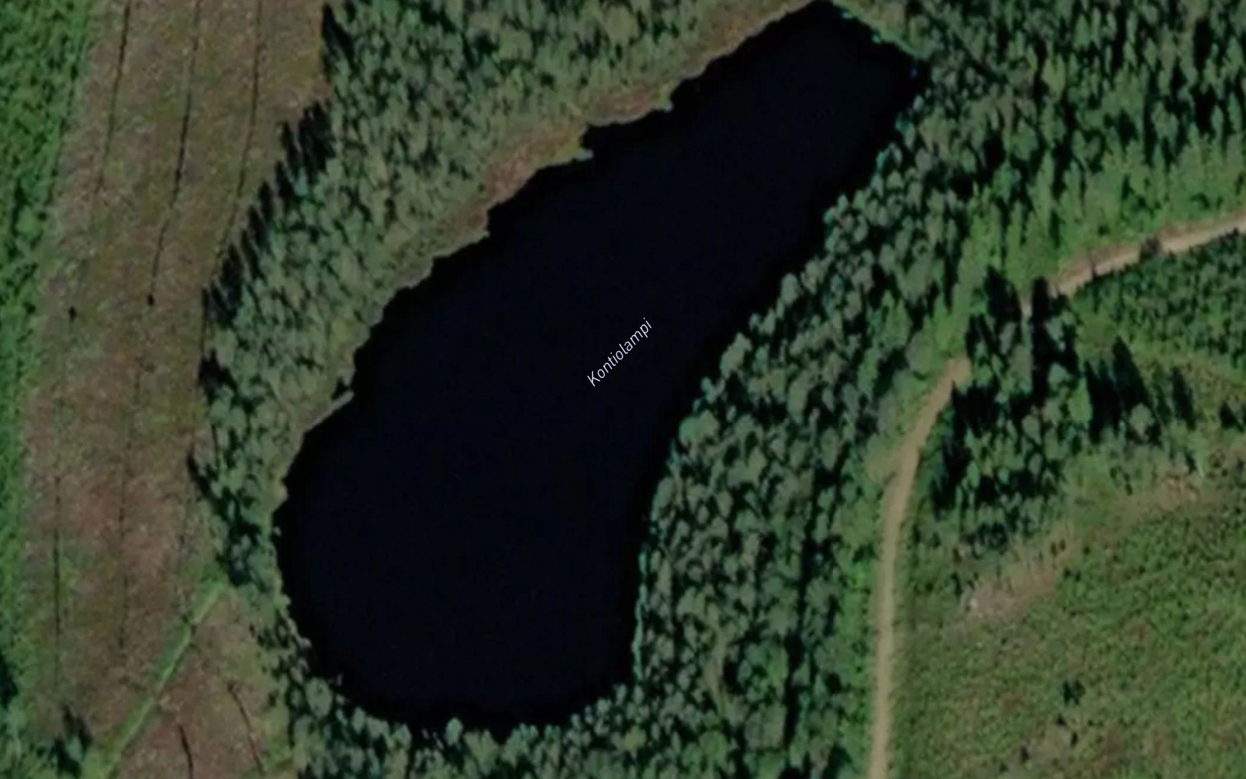 Kontiolampi