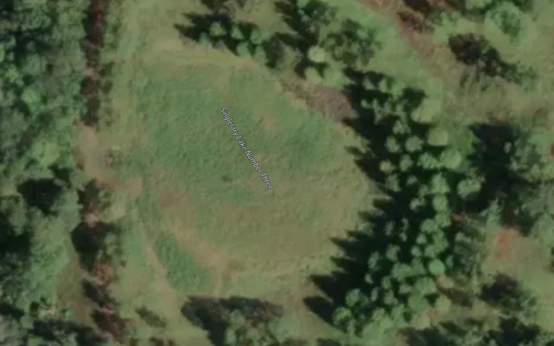 Satellite map of the Singletary Lake Number Three