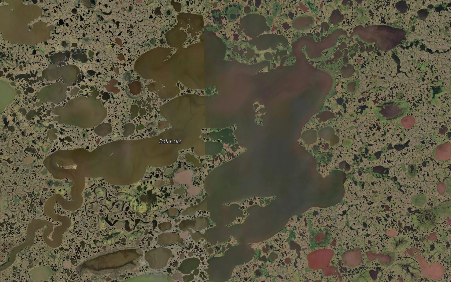Satellite map of the Dall Lake