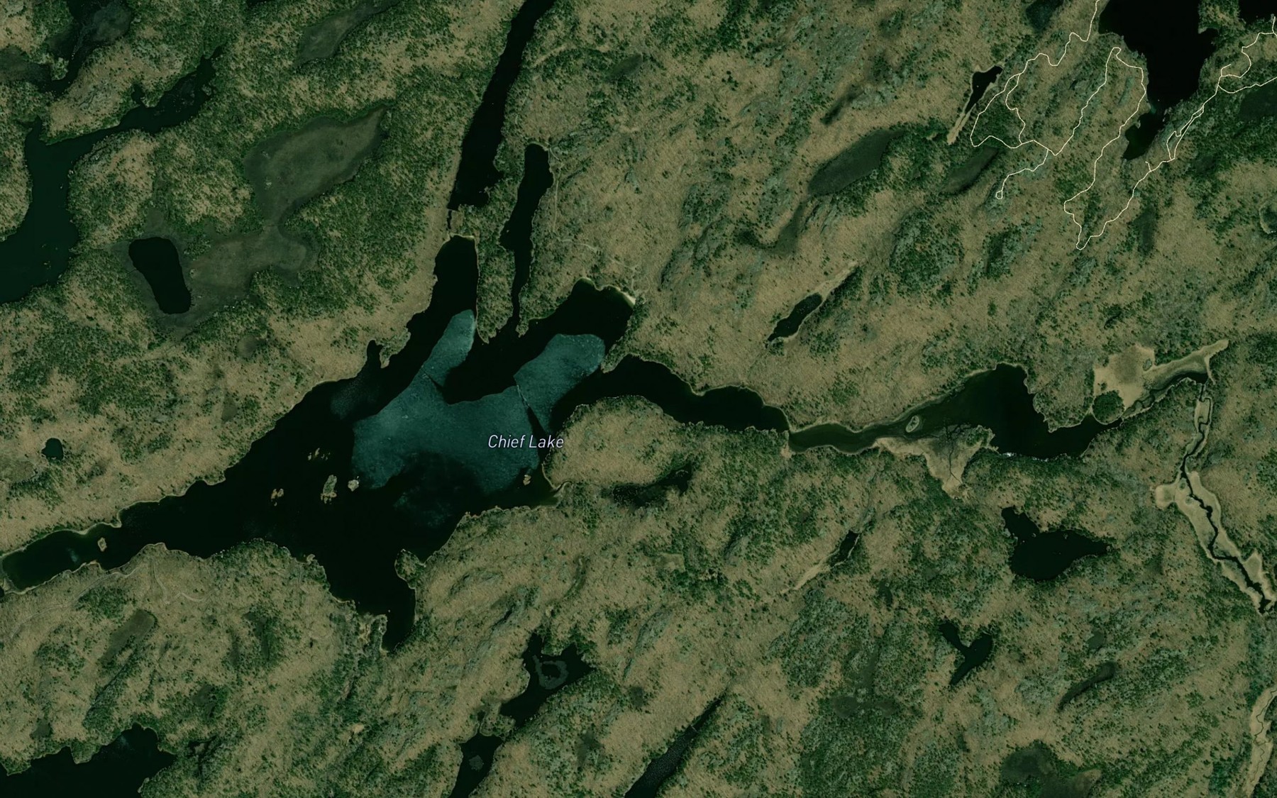 Satellite map of the Chief Lake