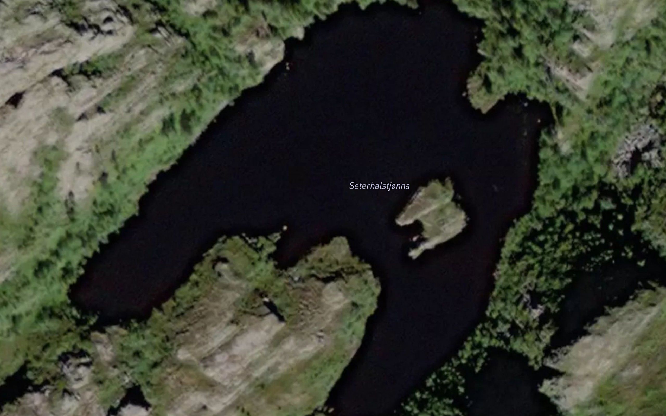 Seterhalstjorna