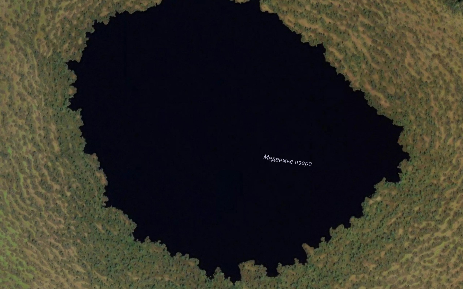 Satellite map of the Ozero Medvezh'ye
