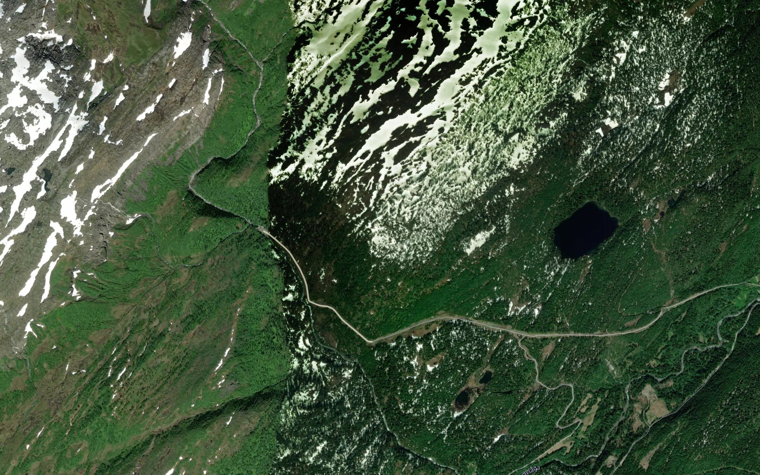 Fjellmyrtjonna
