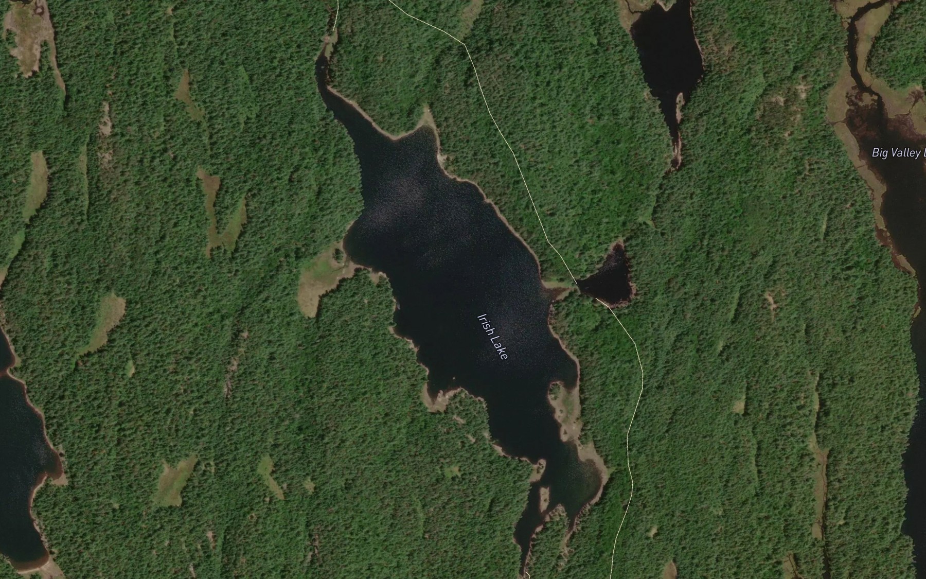 Satellite map of the Irish Lake