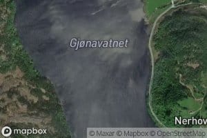 Gjonavatnet