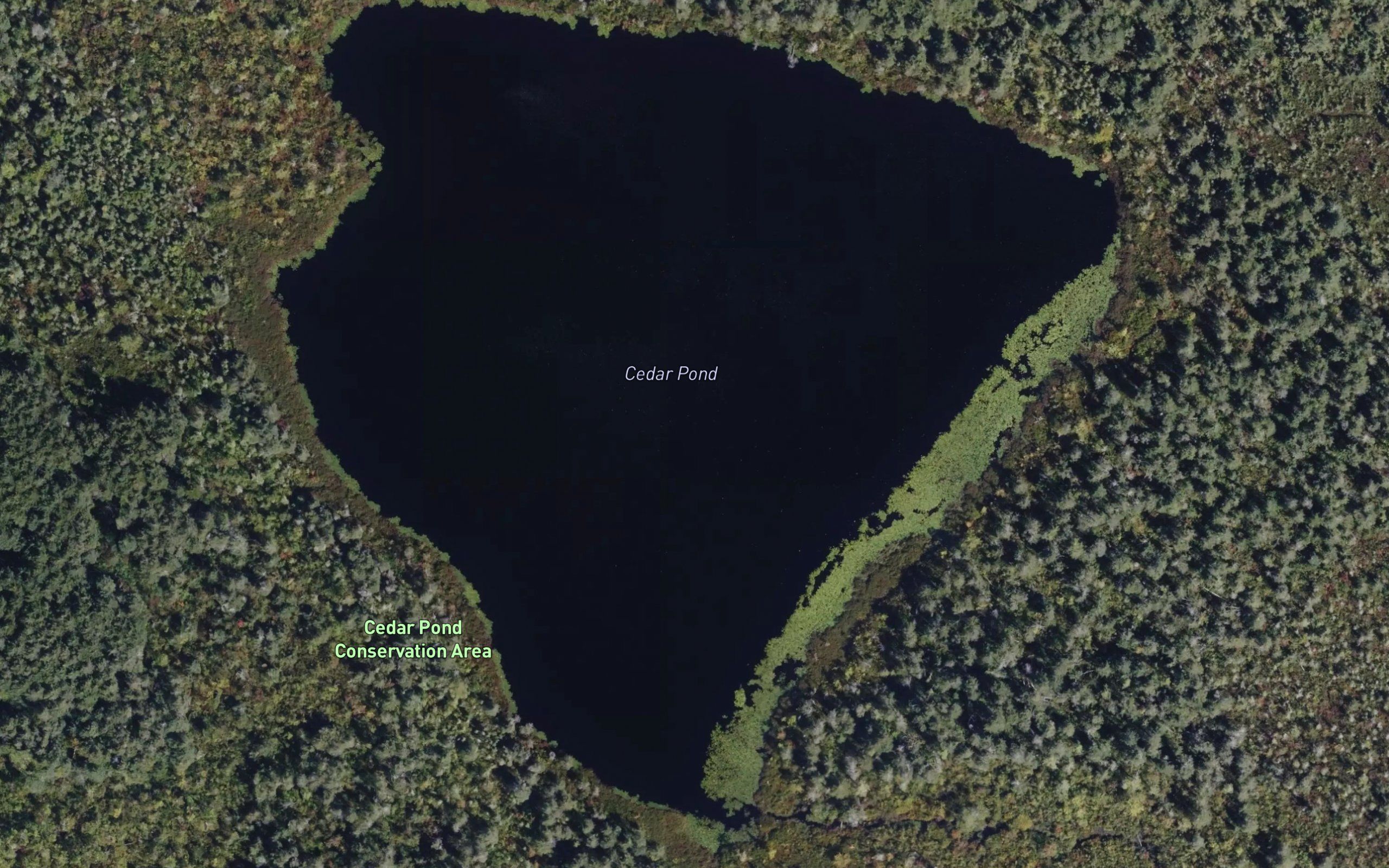 Cedar Pond