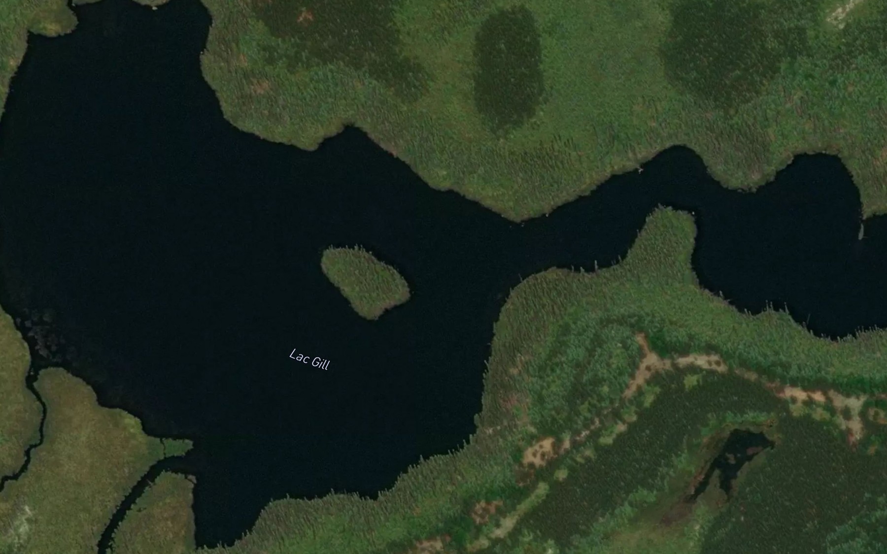 Satellite map of the Lac Gill