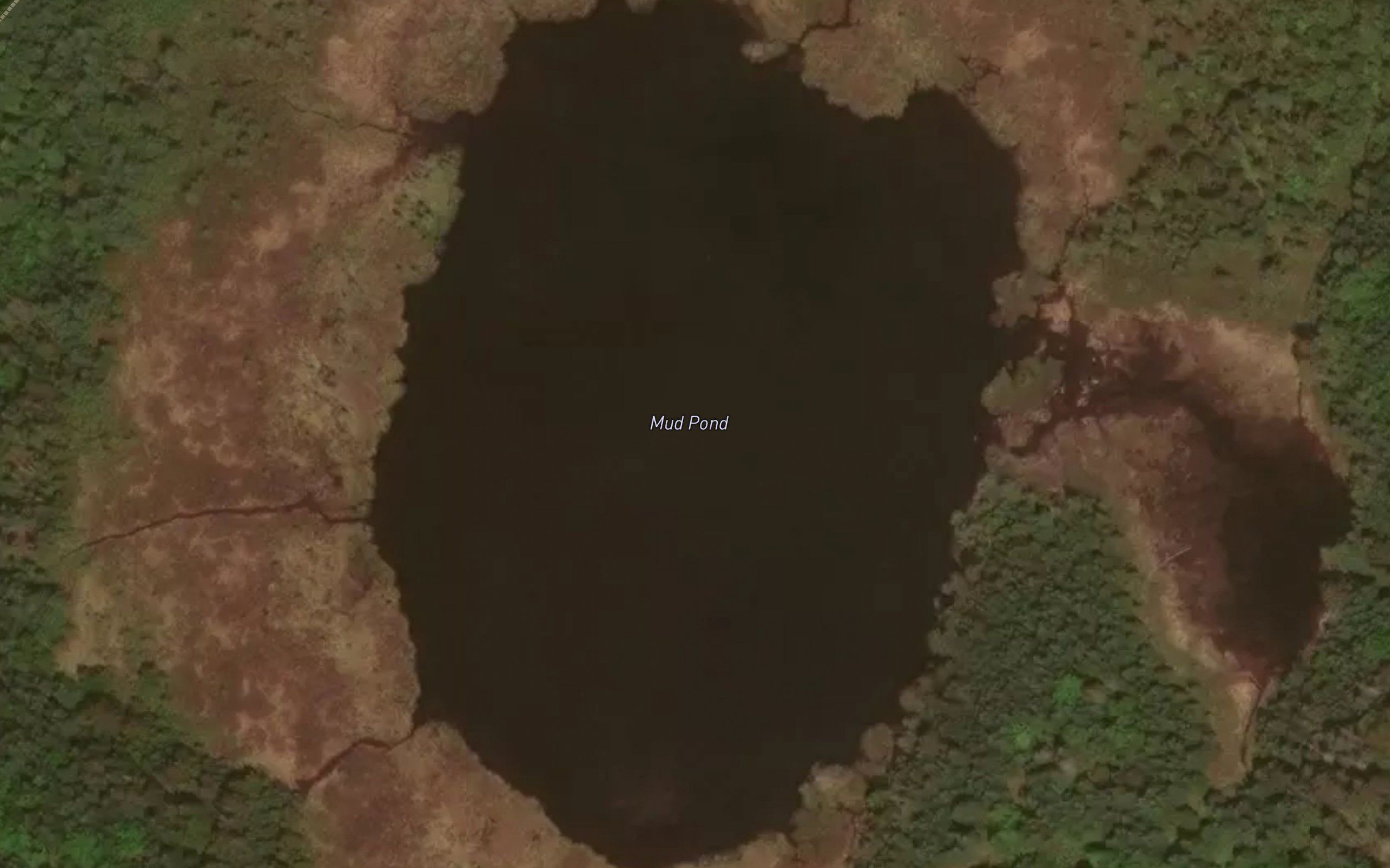 Mud Pond