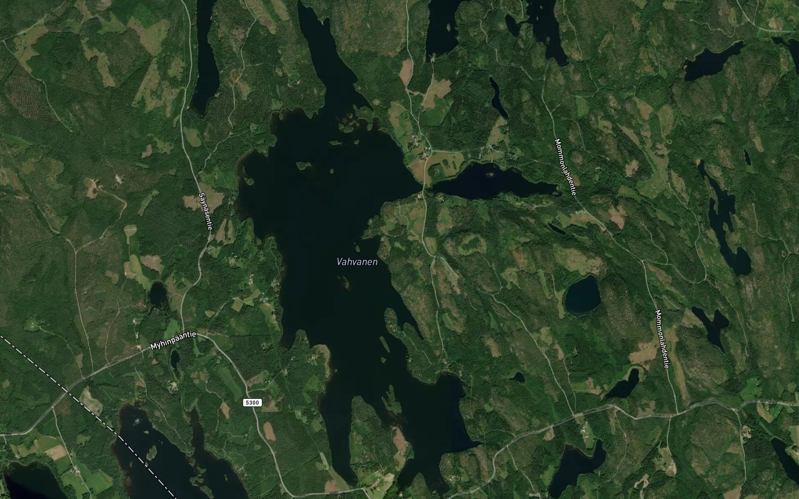 Vahvanen
