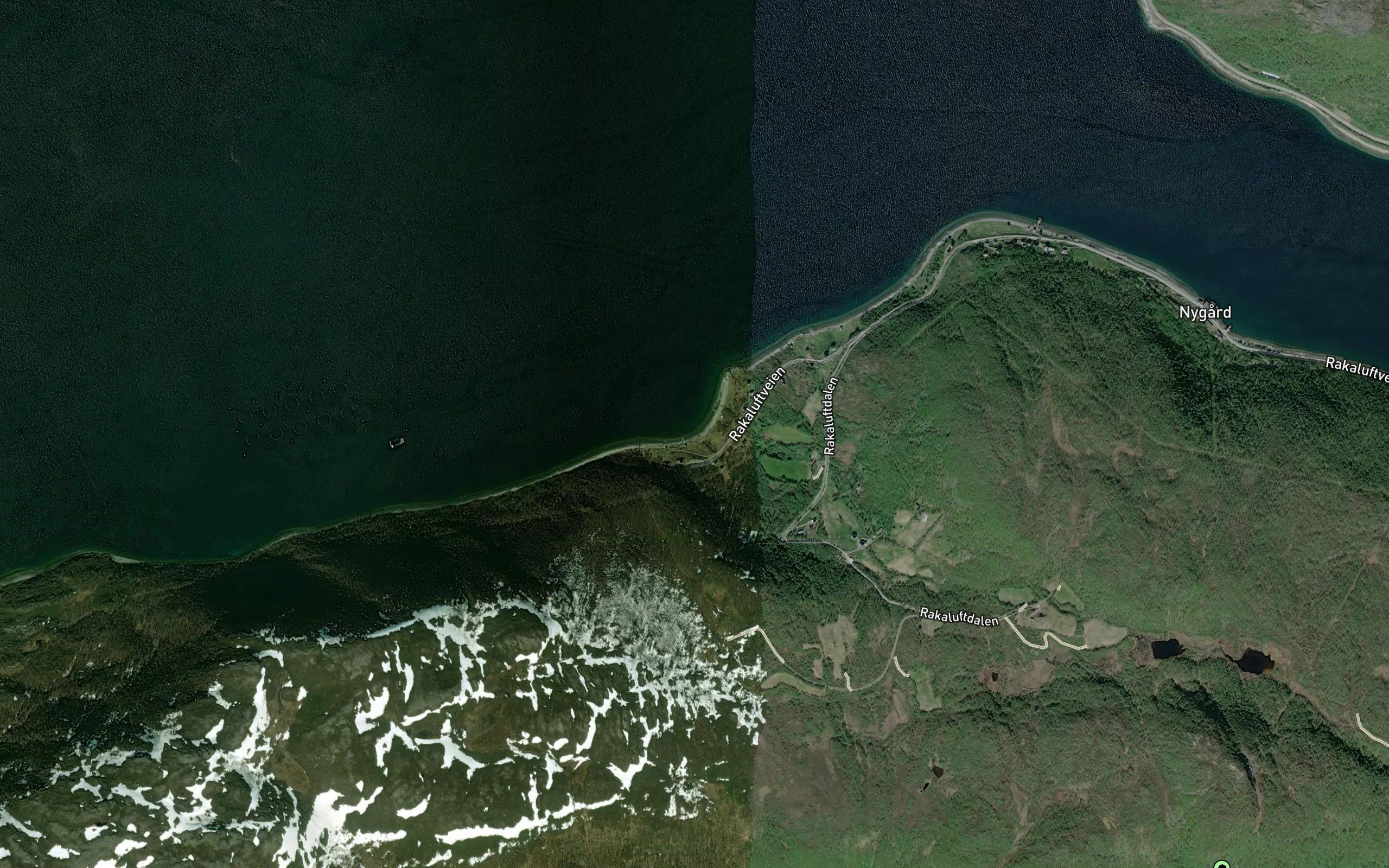Krakevik