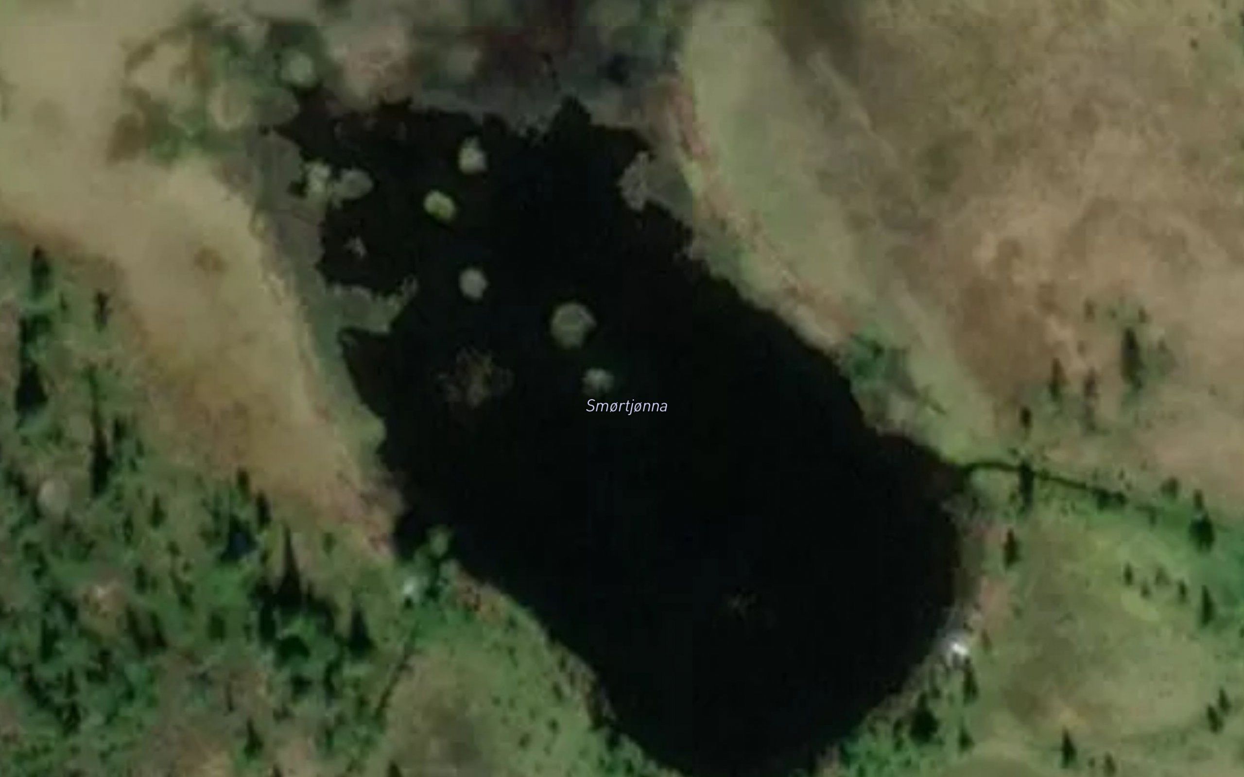 Smortjonna