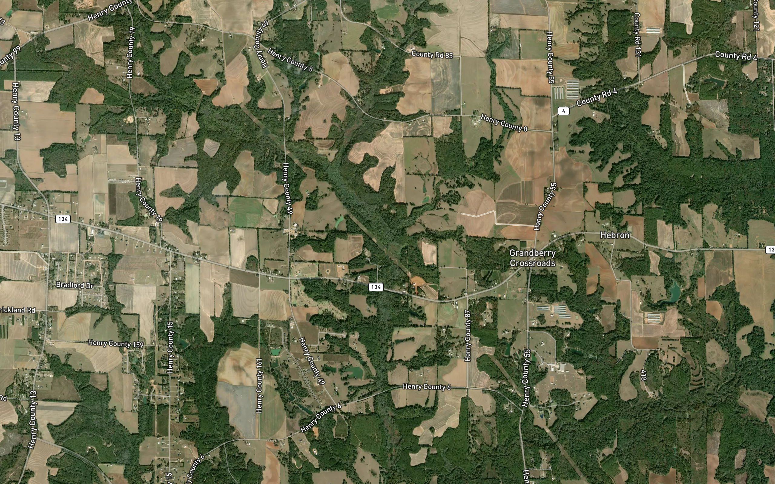Grandberry Branch