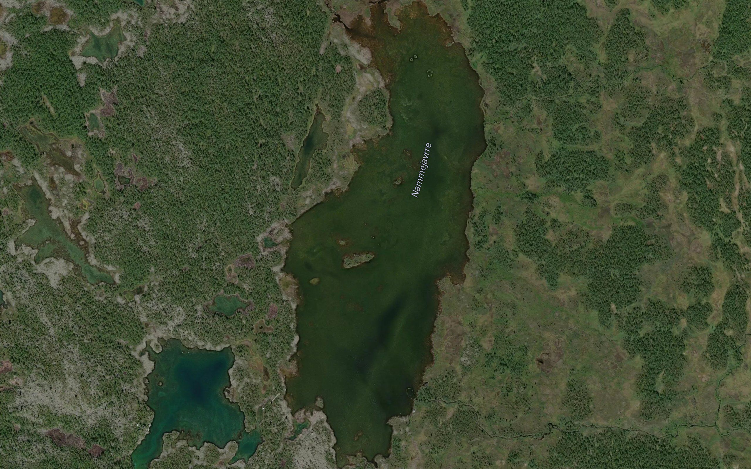 Nammejaure