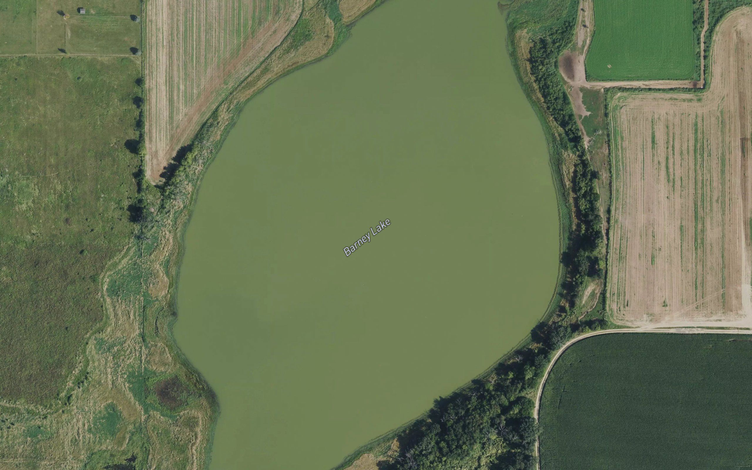 Lake Barney