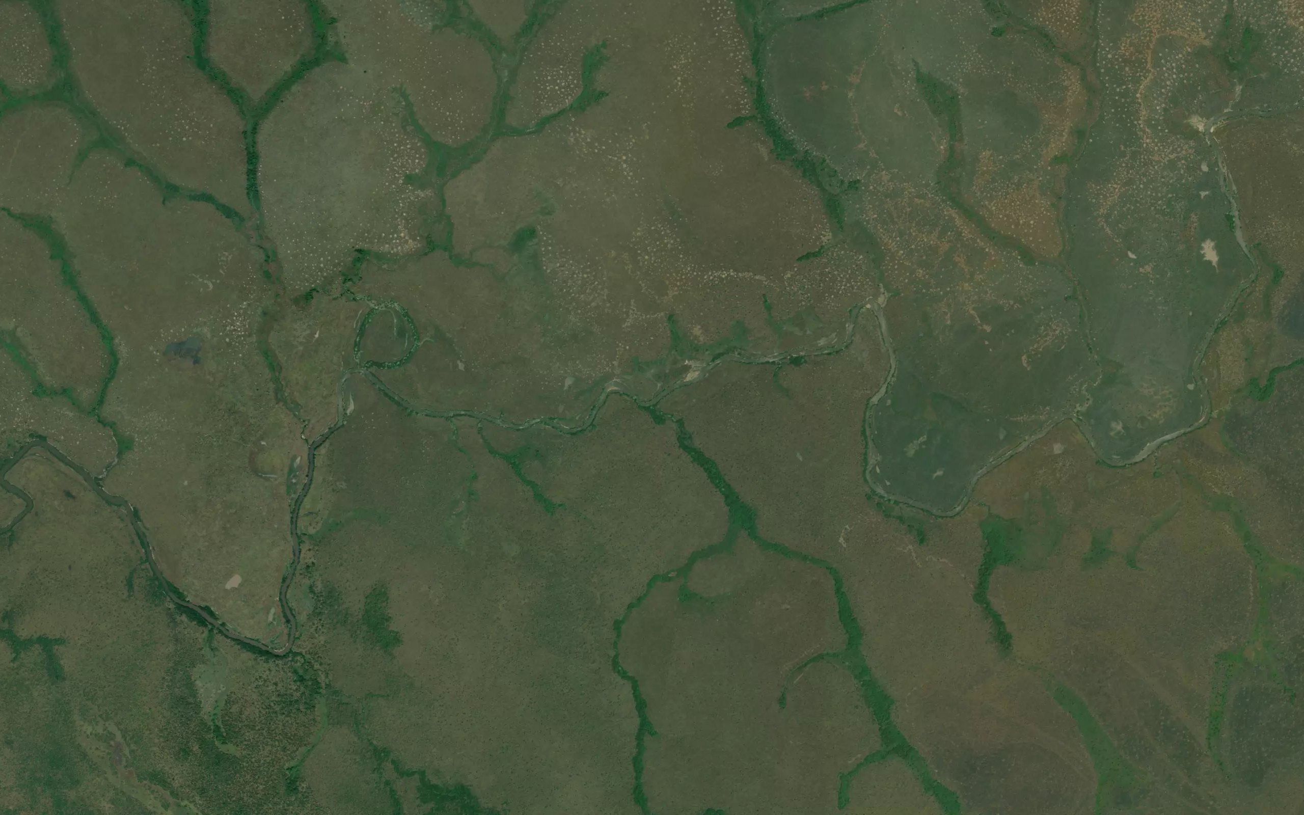 Nanguludu