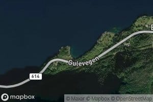 Svinevika