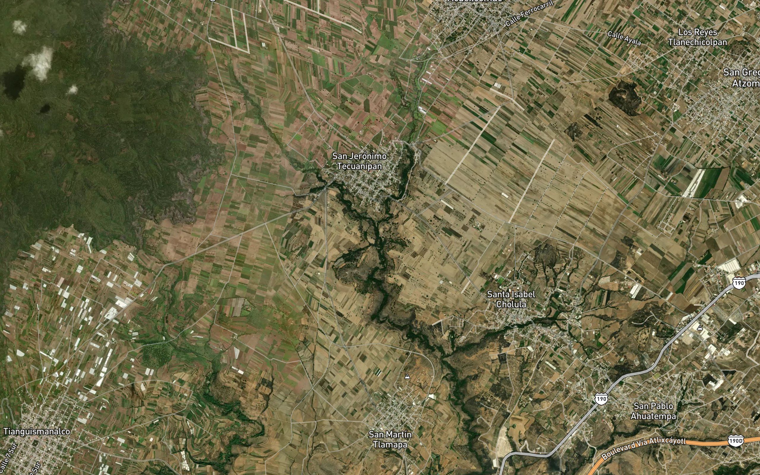 Nexapa