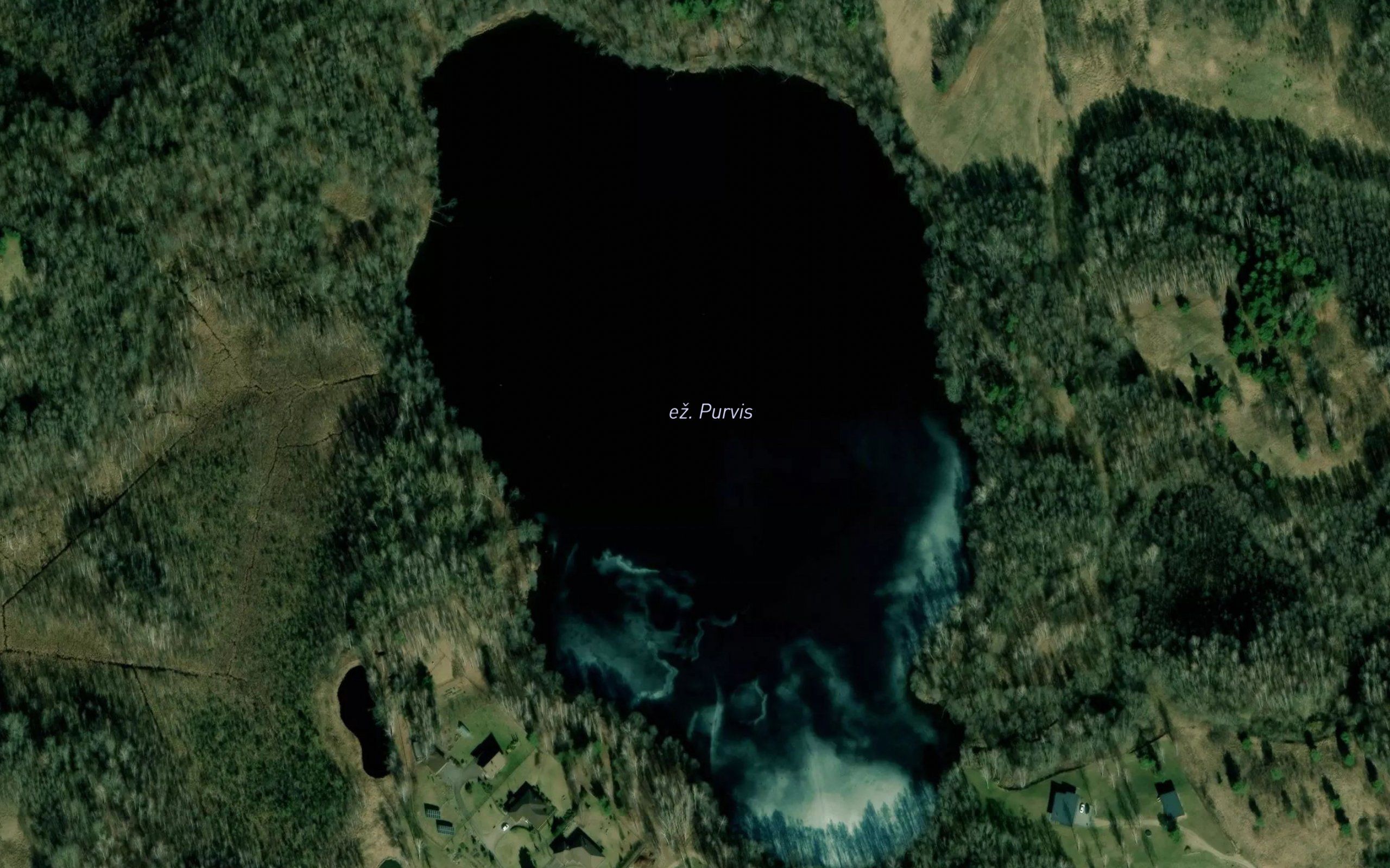 Ezeras Purvis