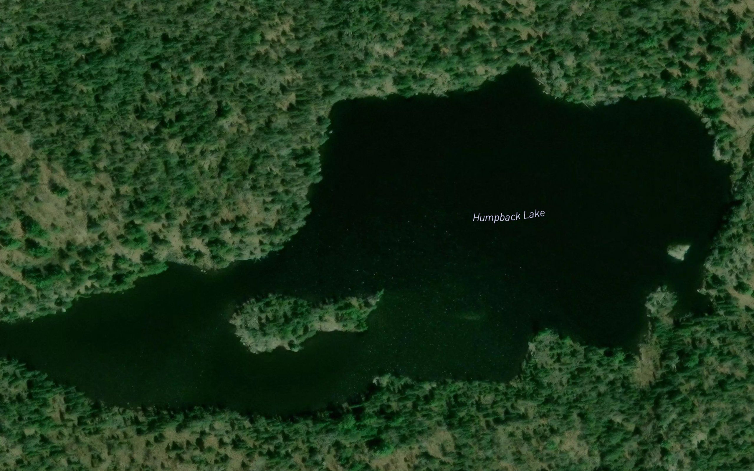 Humpback Lake