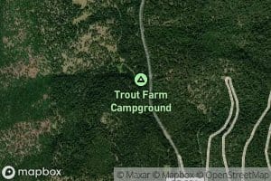 Trout Farm Spring