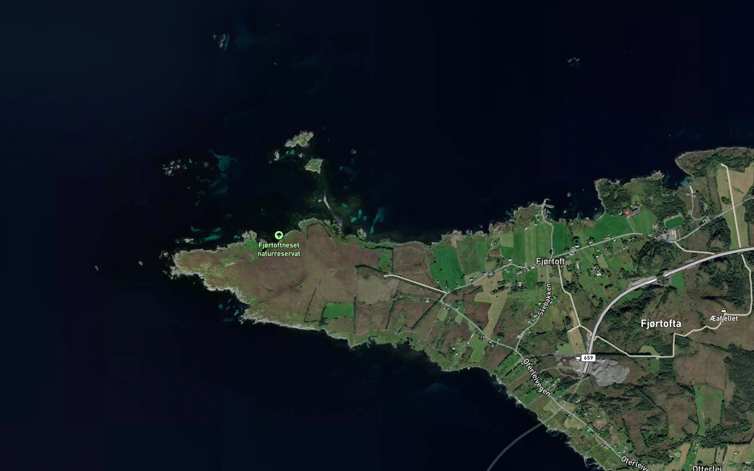 Bakkevika