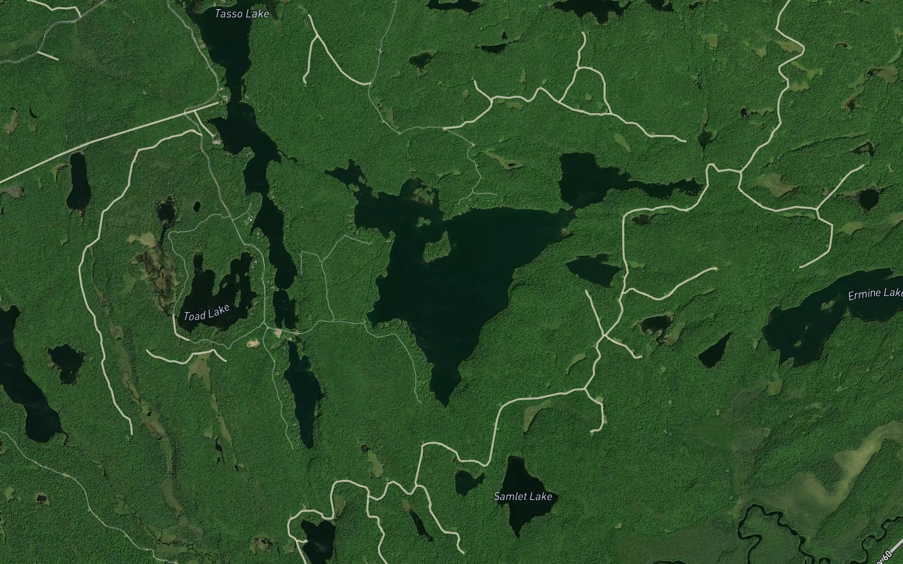 Satellite map of the Camp Lake