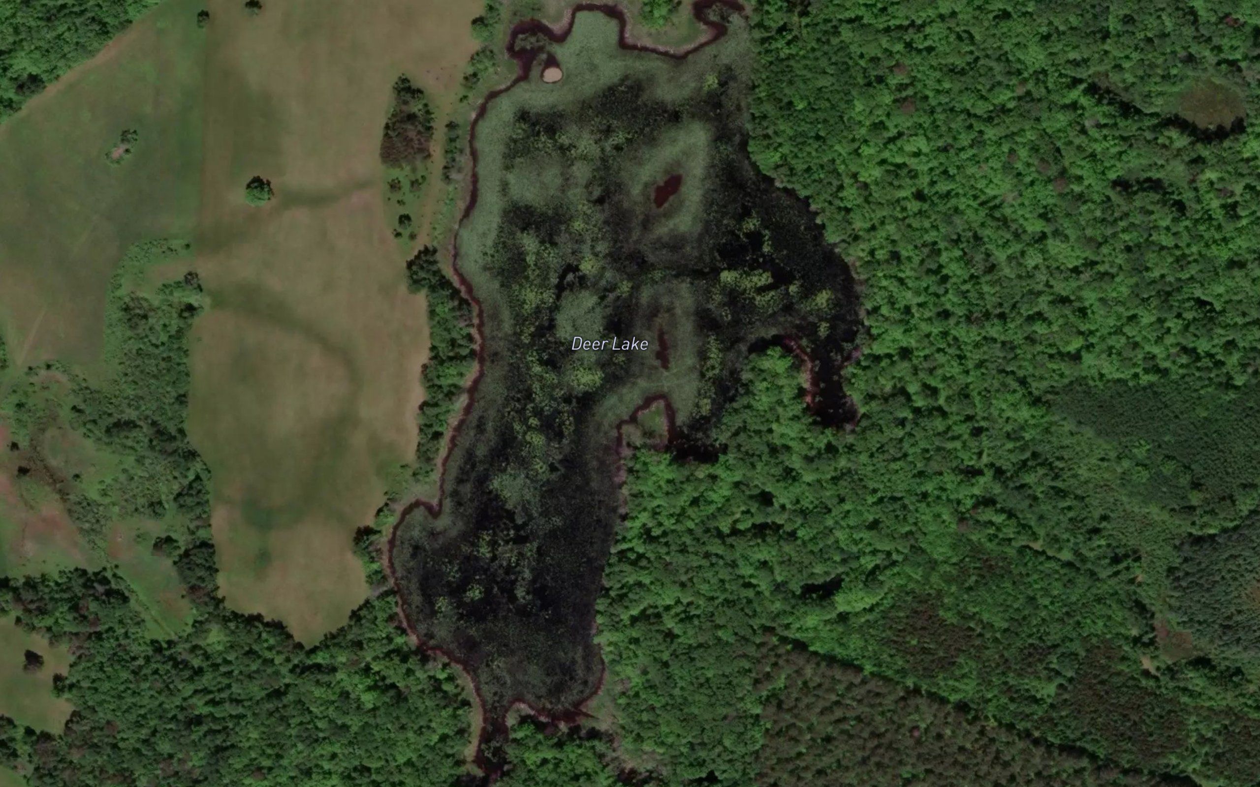 Deer Lake