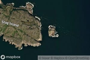 Duck Cove