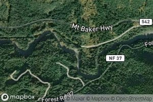 Lookout Creek