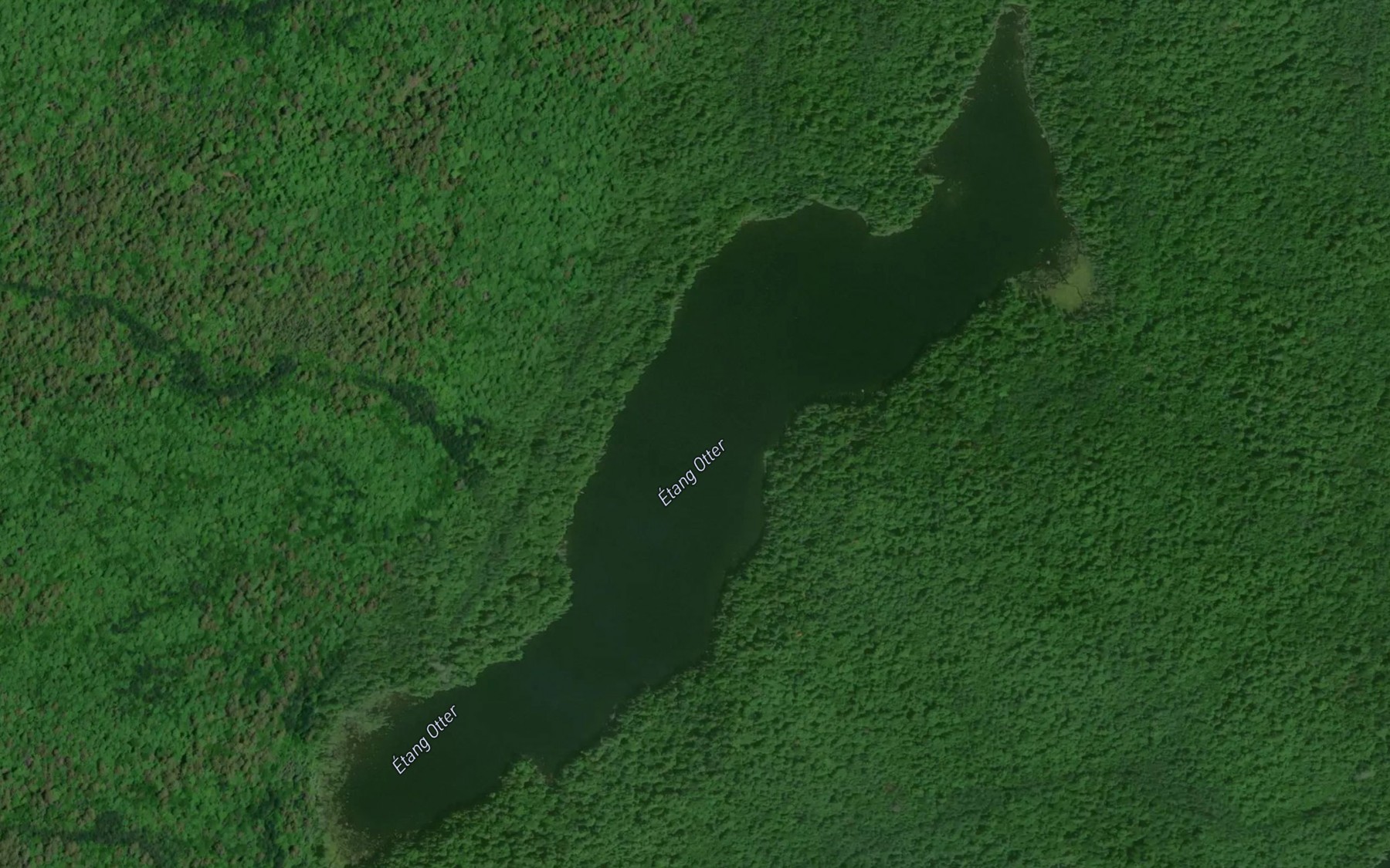 Satellite map of the Etang Otter