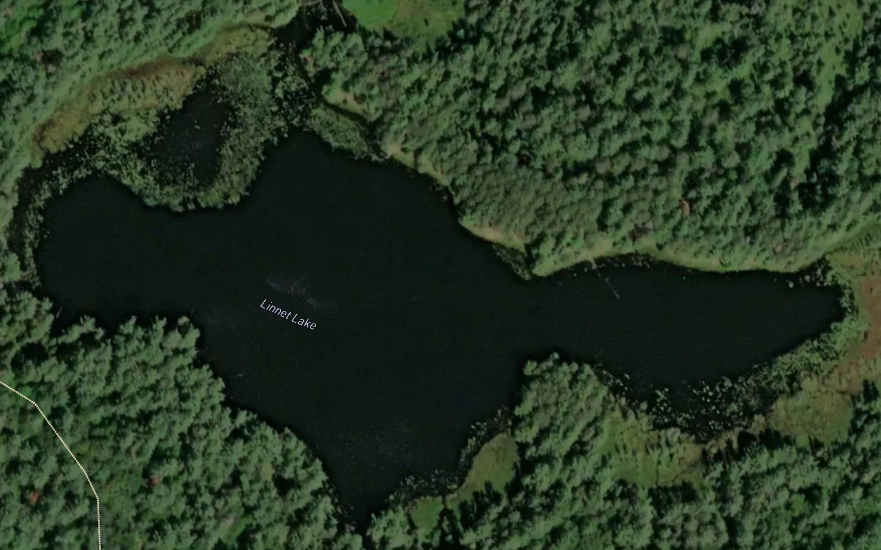 Satellite map of the Linnet Lake