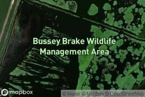 Bussy Brake