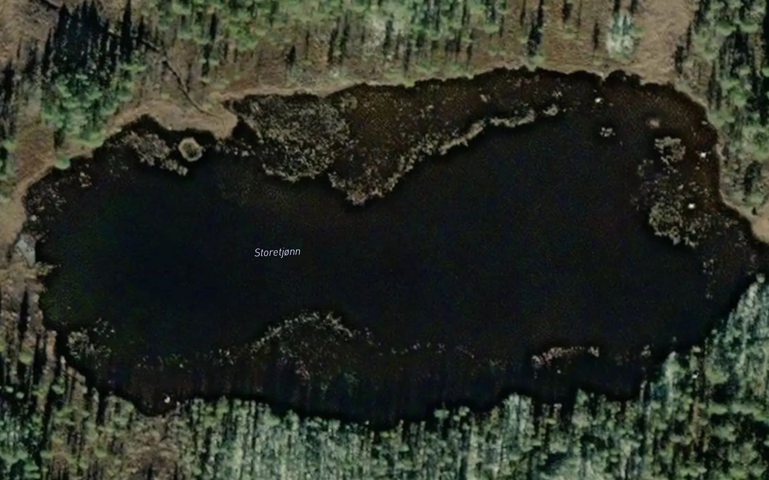 Storetjorn