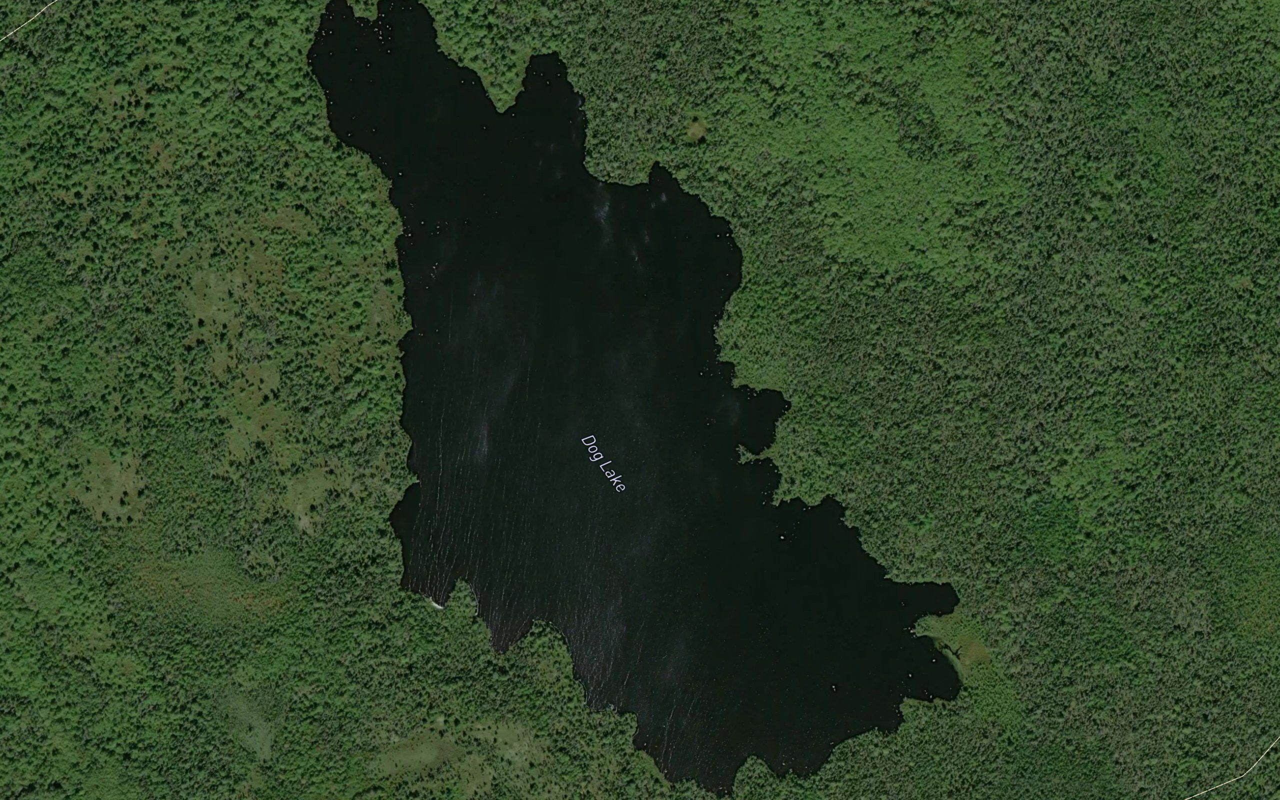 Dog Lake