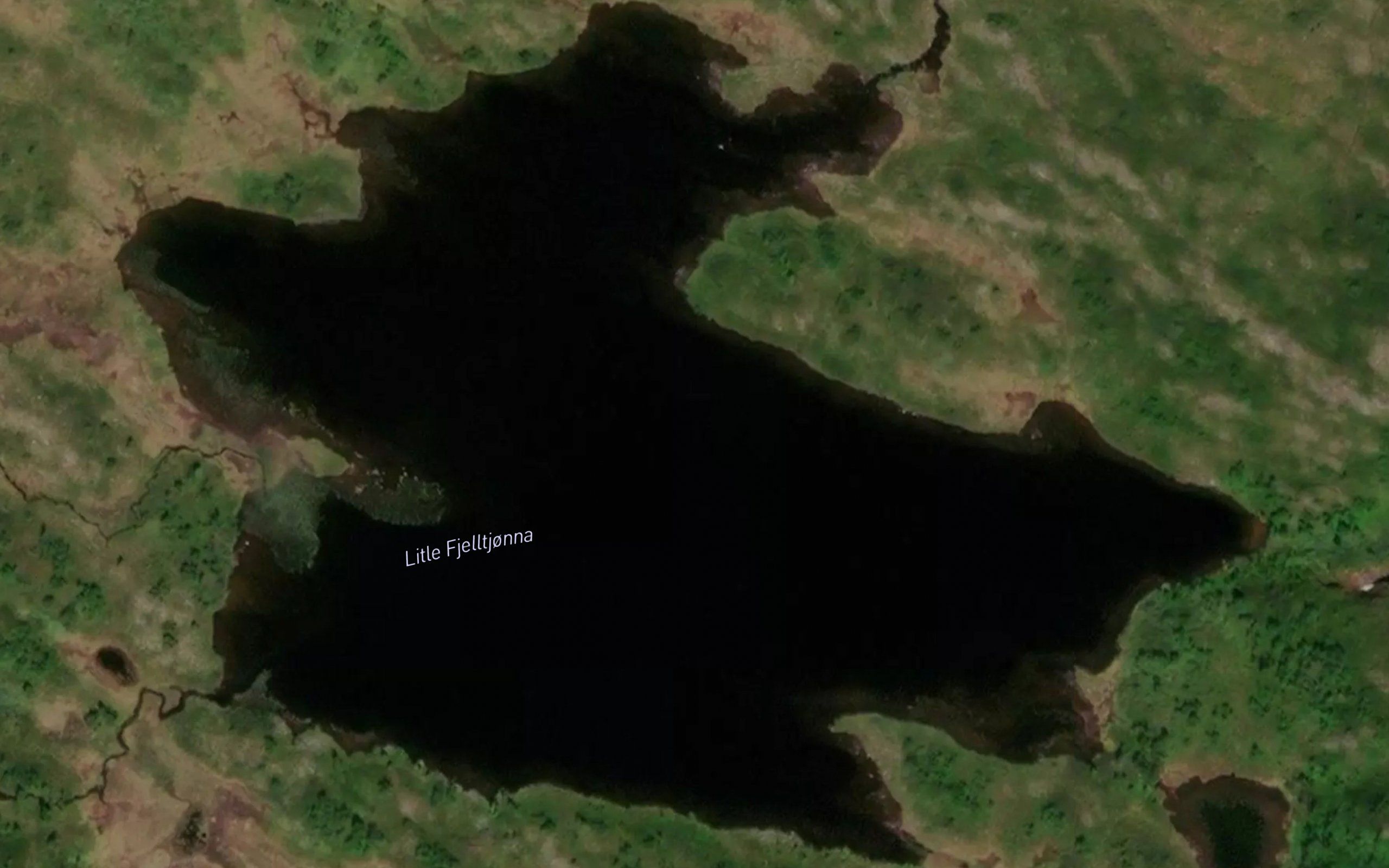 Litle Fjelltjorna
