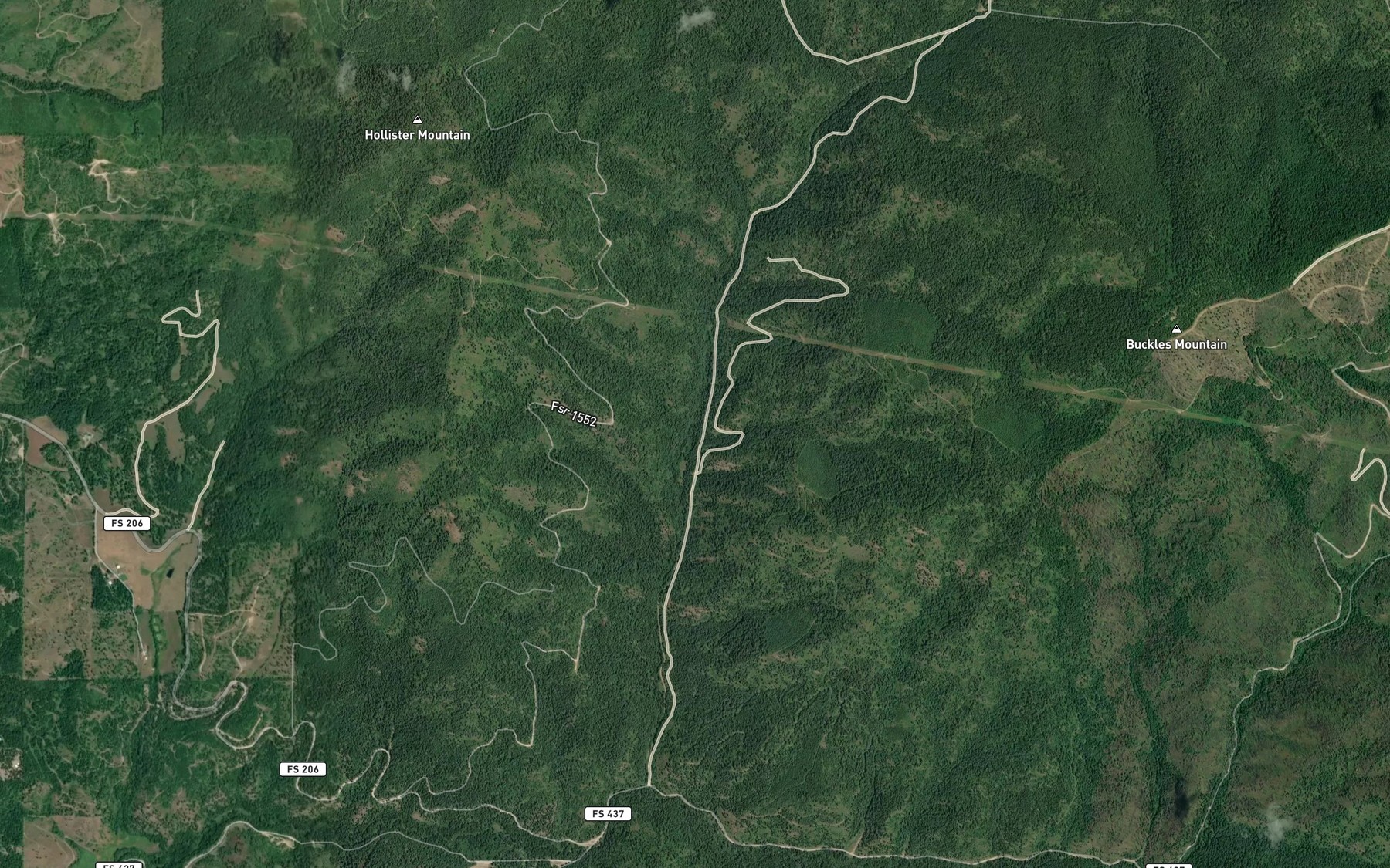 Satellite map of the Shamrock Creek