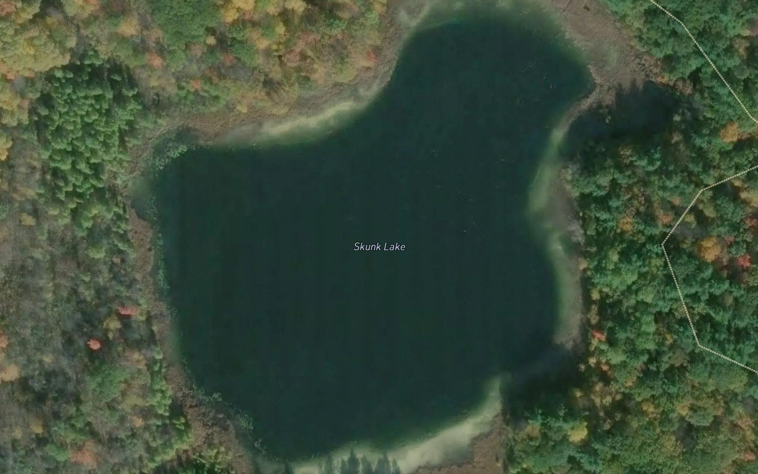 Skunk Lake