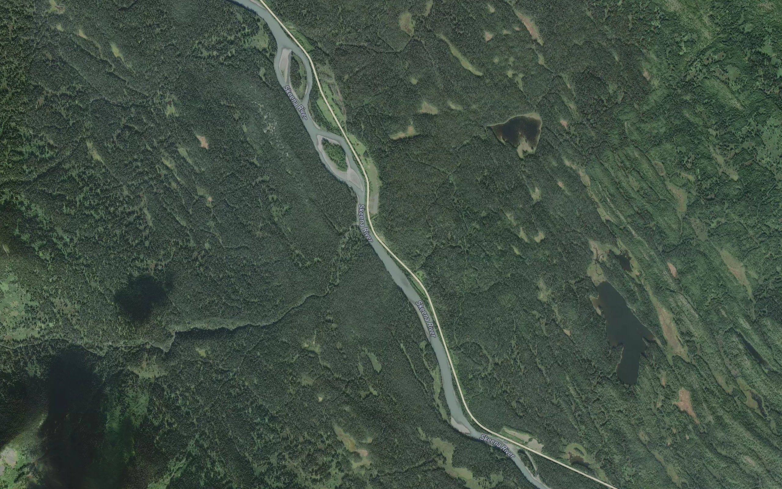 Foster Creek