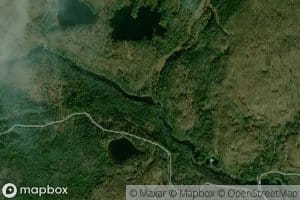 Randle Meadow Brook