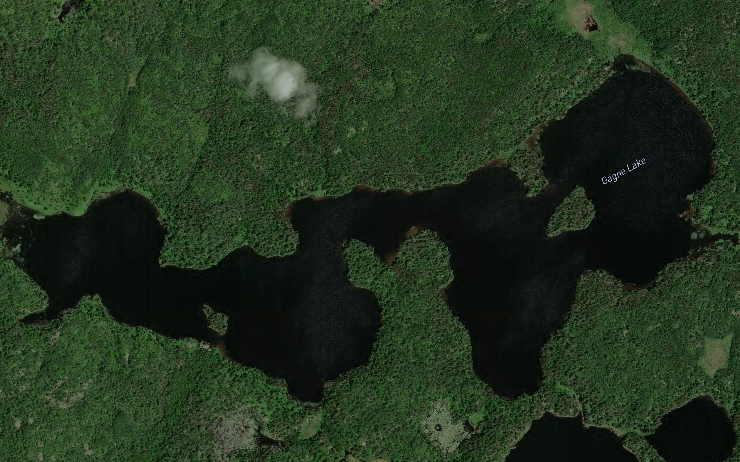 Gagne Lake