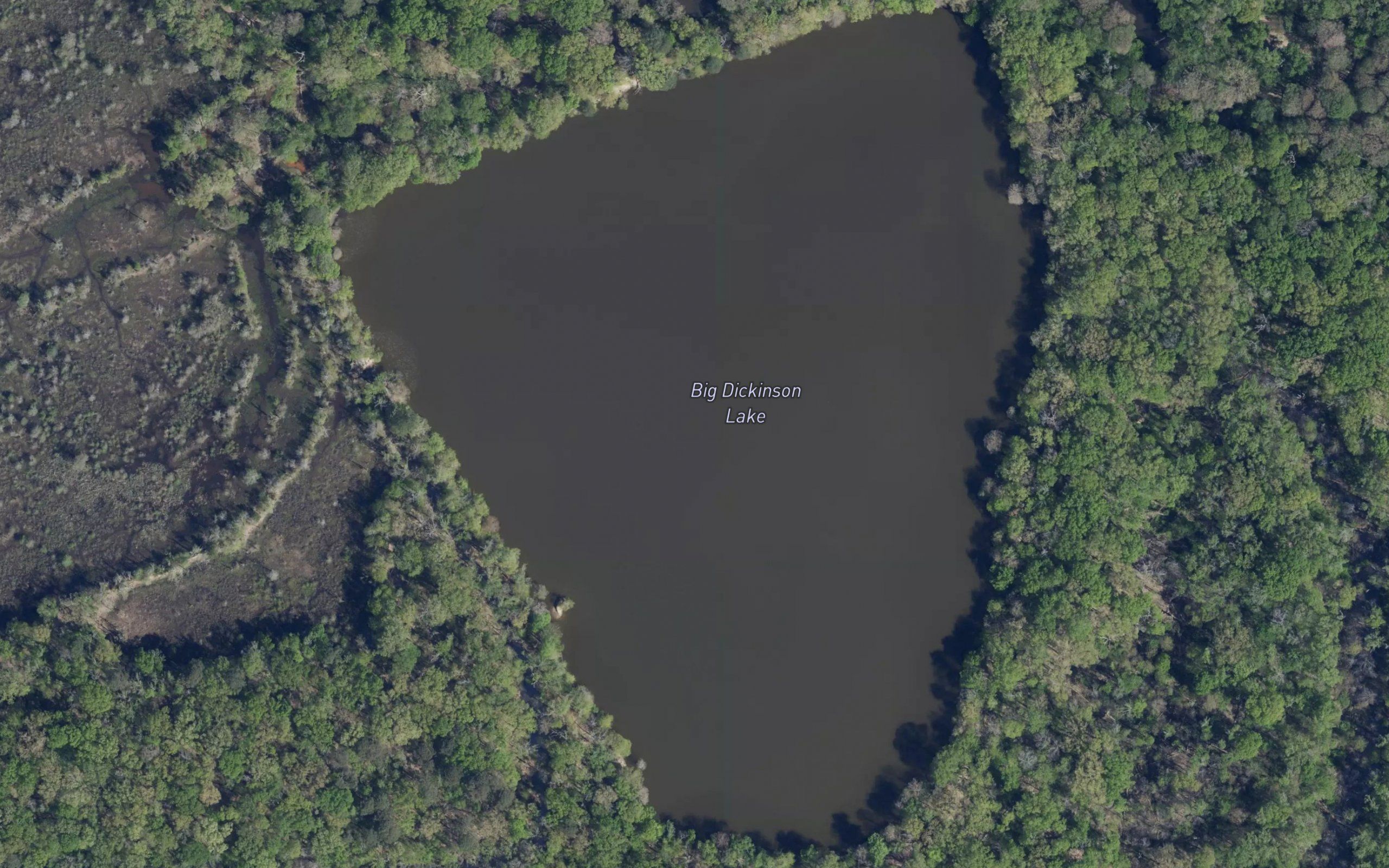 Big Dickinson Lake