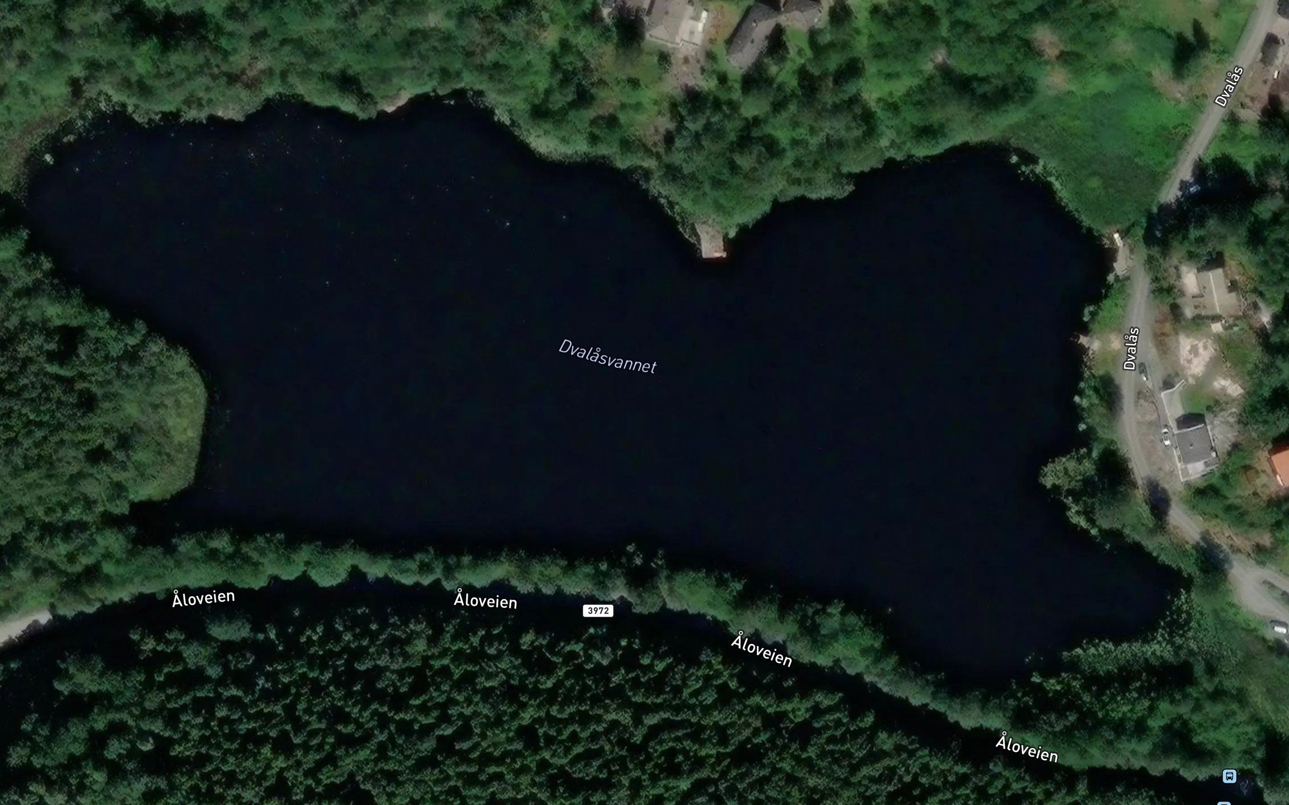 Dvalasvannet