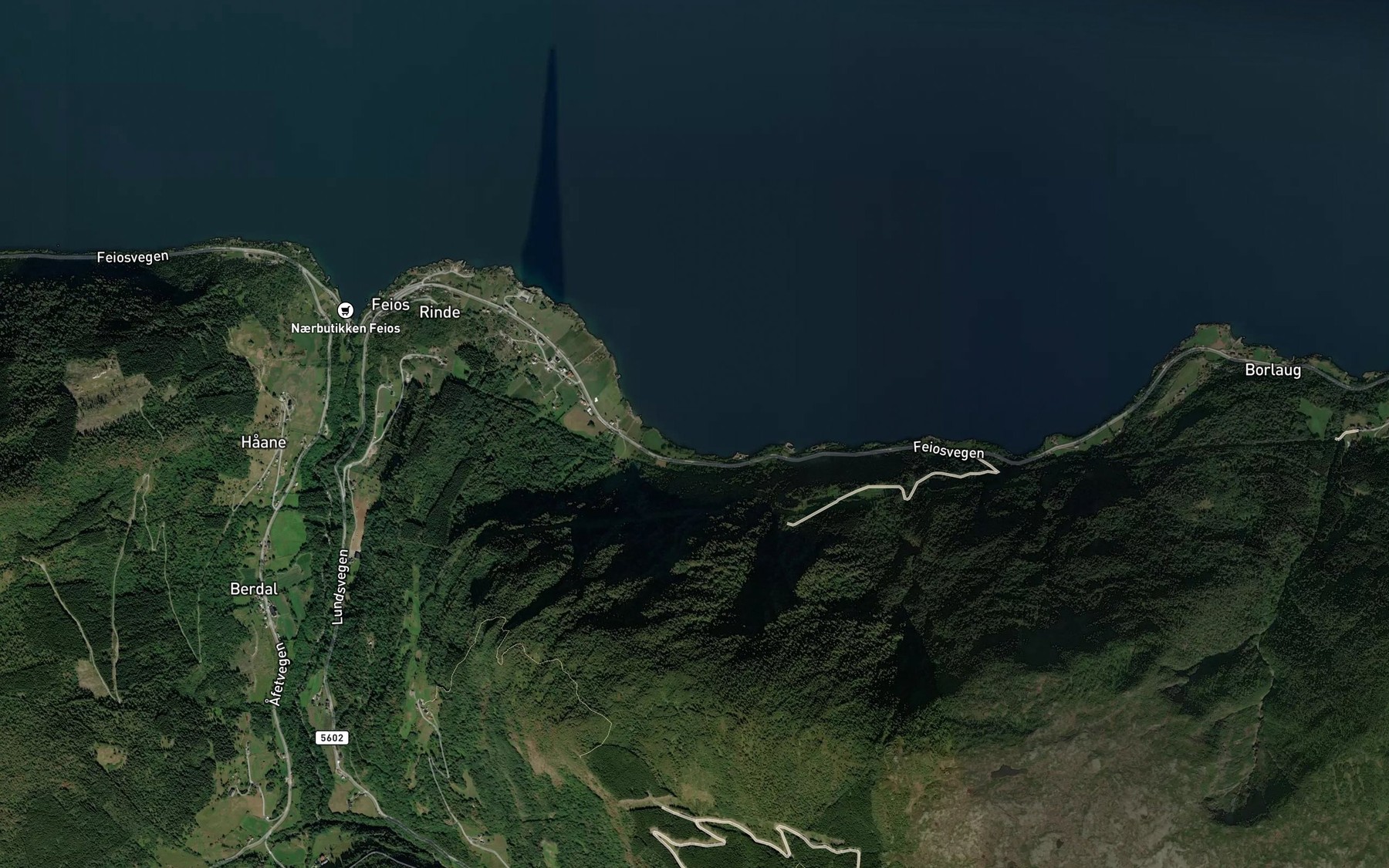 Satellite map of the Salbuviki