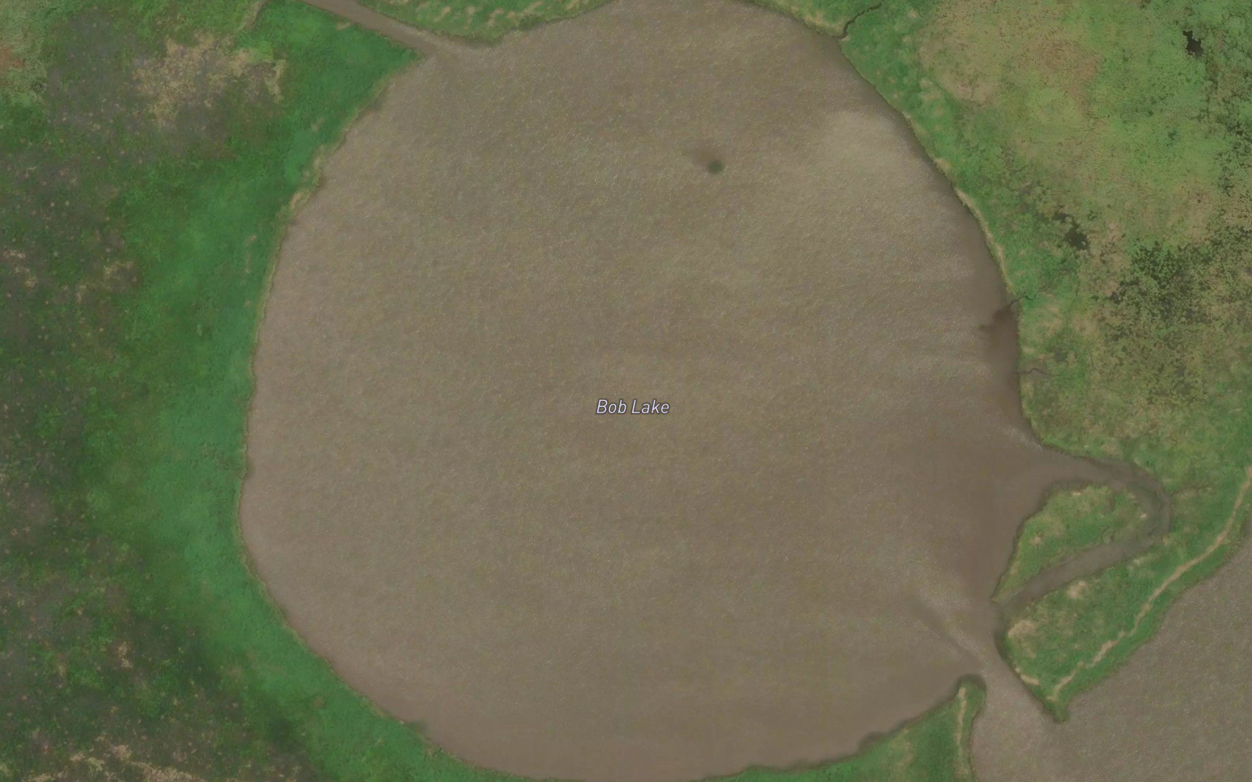 Bob Lake