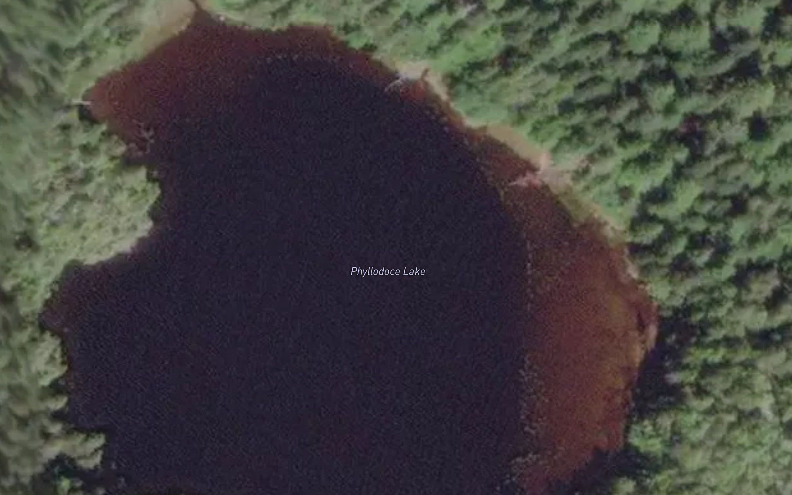 Phyllodoce Lake