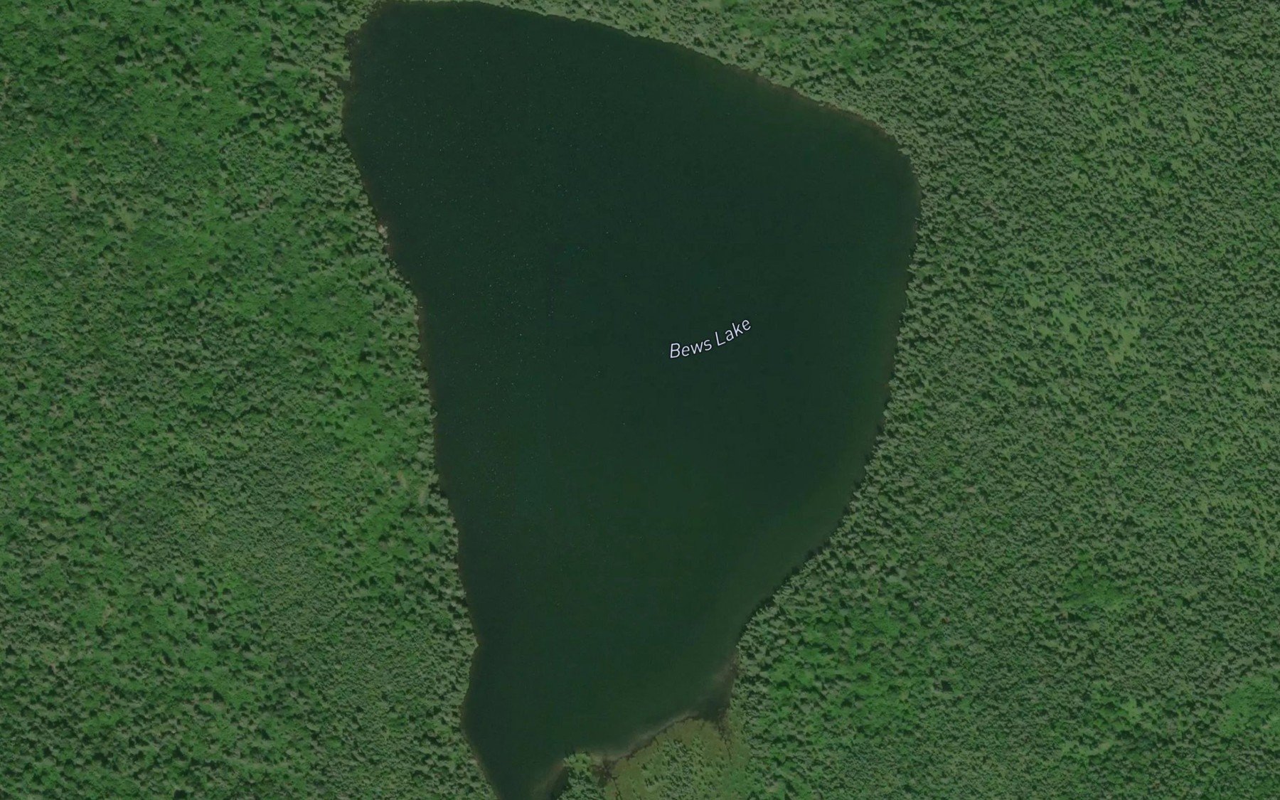 Satellite map of the Bews Lake