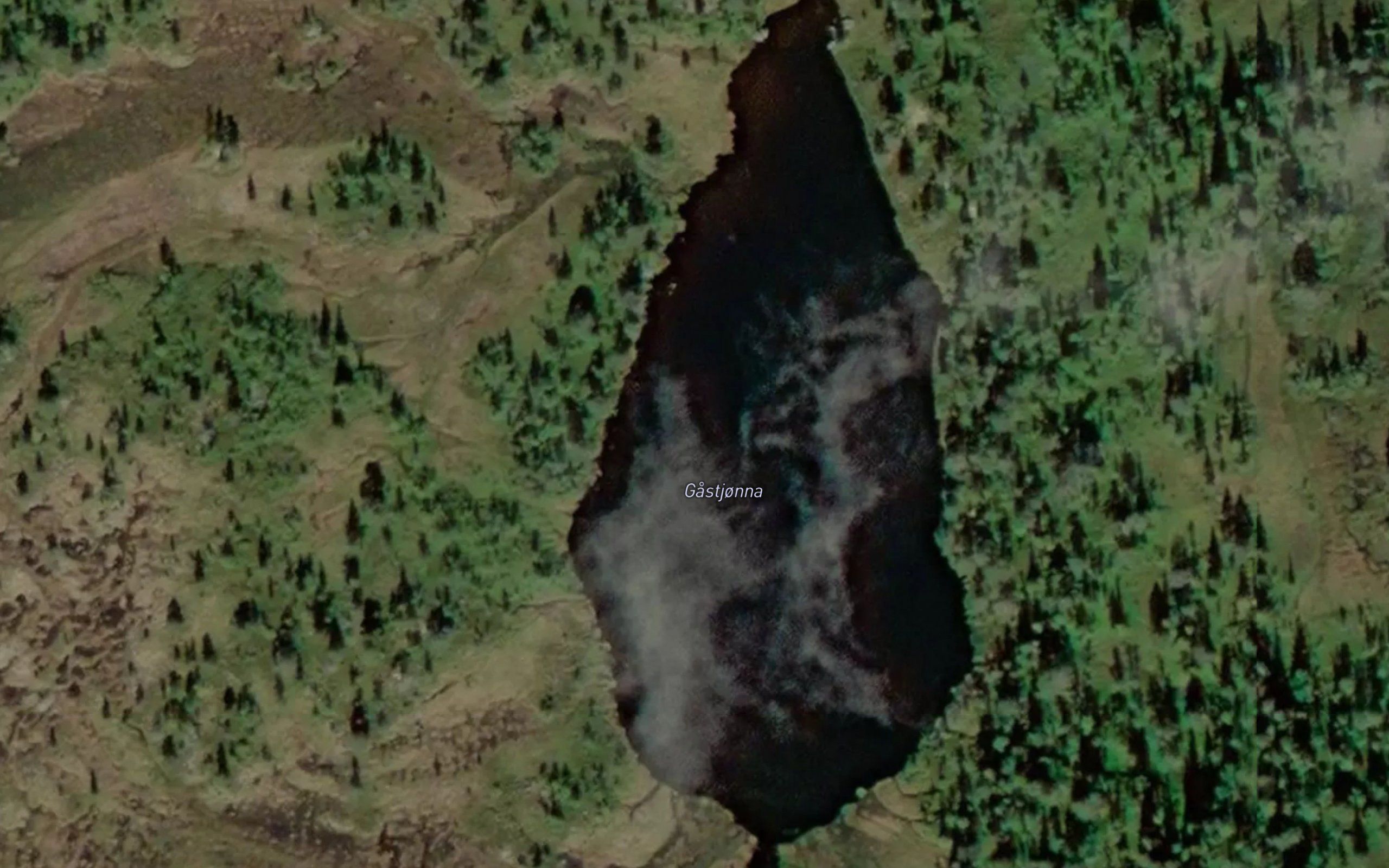 Gastjorna