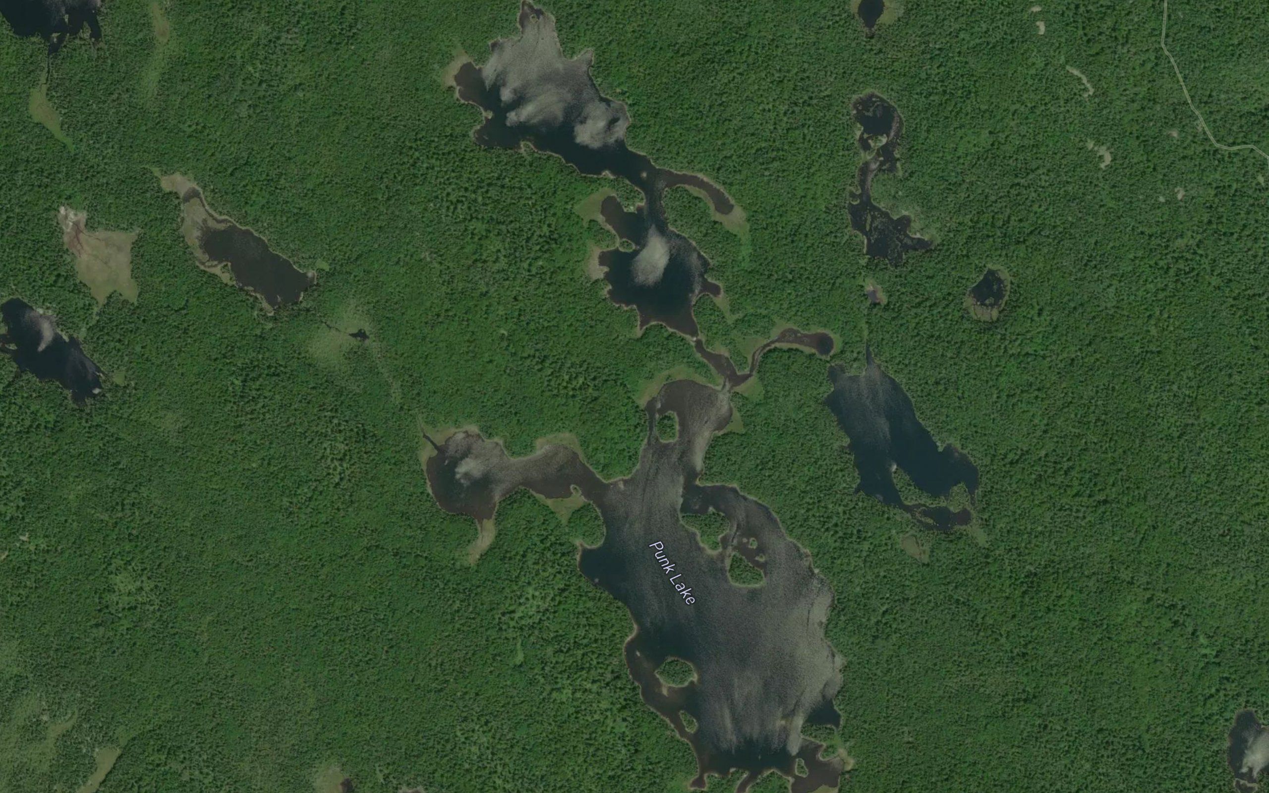 Punk Lake