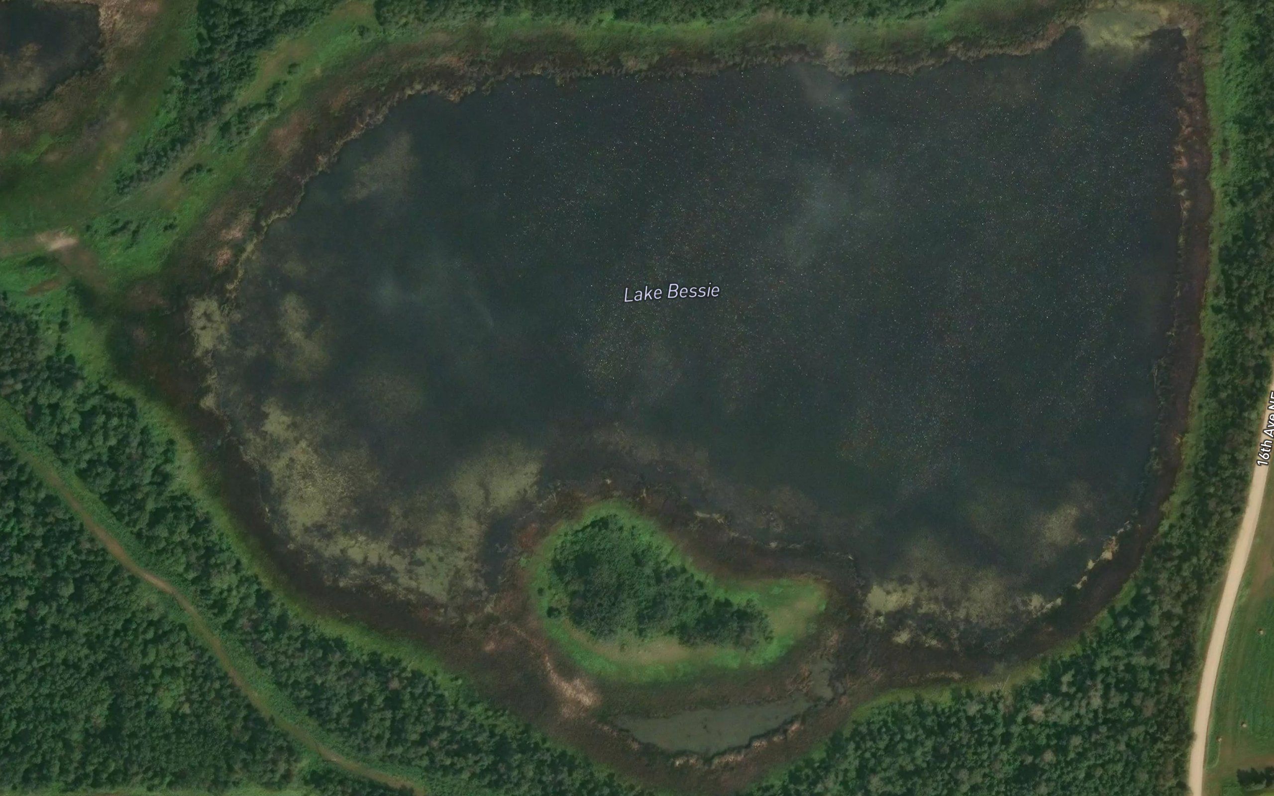 Lake Bessie