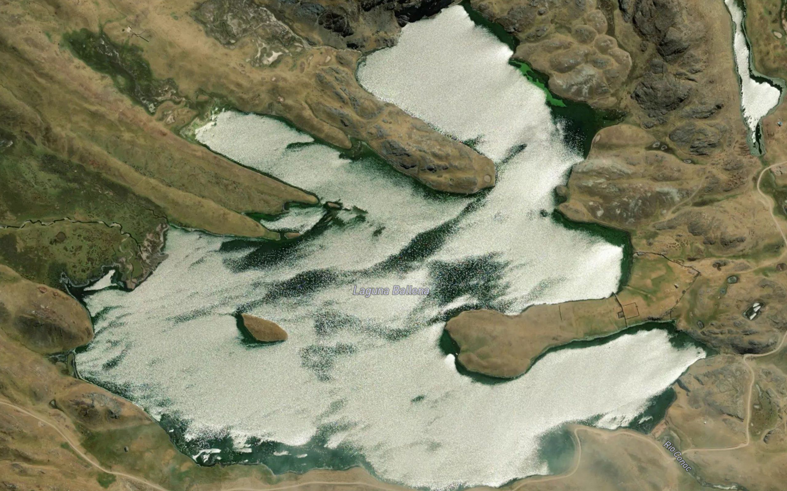 Laguna Ballena
